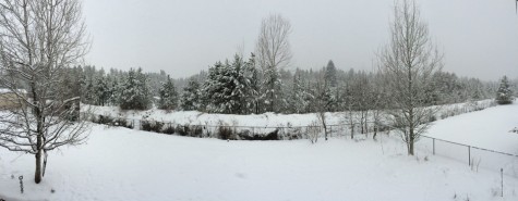 WINTER WEATHER WOES