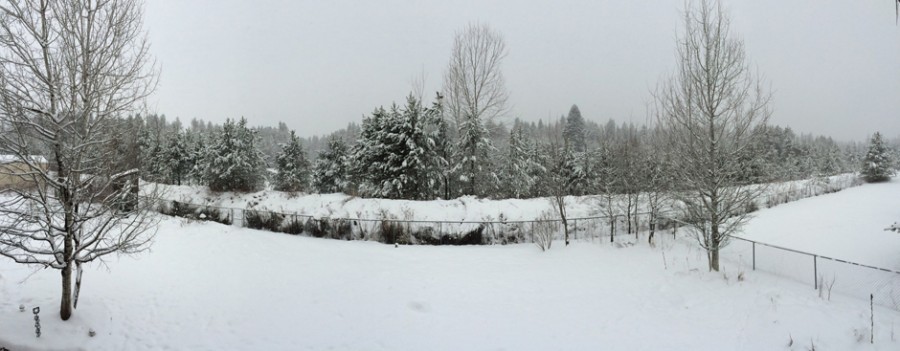 THIS+PHOTO+WAS+TAKEN+ON+JANUARY+4.+SINCE+THEN%2C+SEEING+A+BLANKET+OF+SNOW+HAS+BEEN+RARE+IN+SANDPOINT.