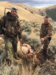 rsz_dickinsons_elk_for_the_hunting_story