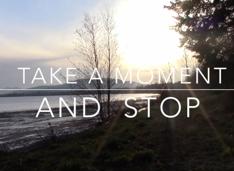 LOOKING BACK AND MOVING FORWARD