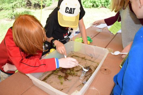 RILEY CREEK WATER FESTIVAL