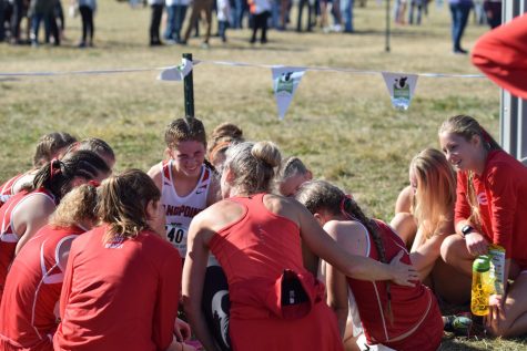 CROSS COUNTRY COMPETES AT STATE