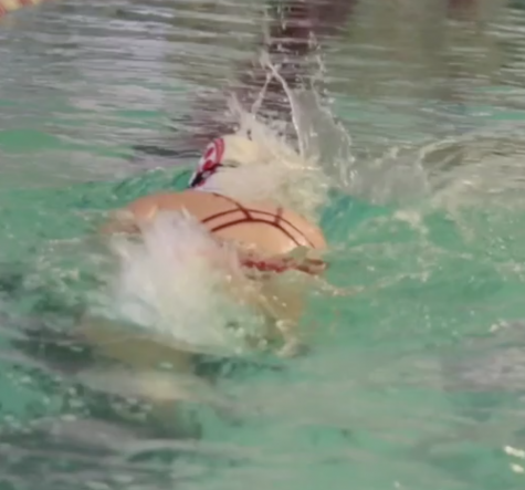 SWIM TEAMS DOMINATE