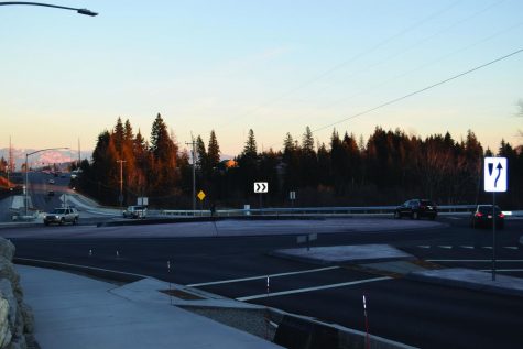SCHWEITZER ROUNDABOUT
