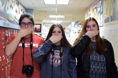 SENIOR PROJECT CONTROVERSY