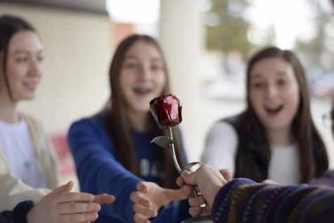 DIVERSIFYING “THE BACHELOR”
