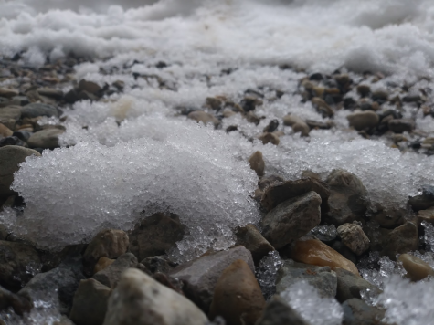 SCHOOL SNOWSCAPES