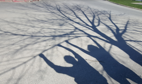 CHASING SHADOWS