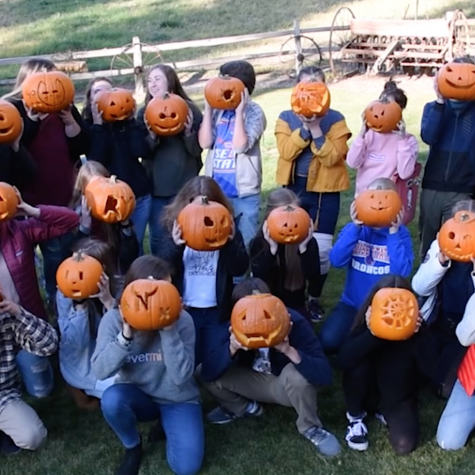 PUMPKIN CARVING
