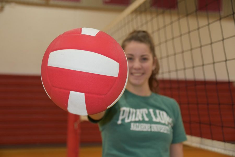 VOLLEYBALL+VERDICT