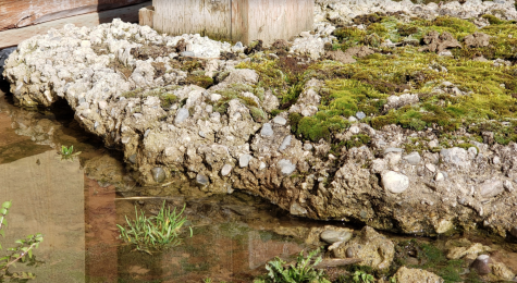 PHOTO STORY: OUTDOOR ABSTRACT