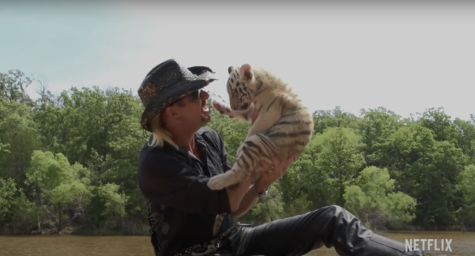 CP REVIEW: TIGER KING