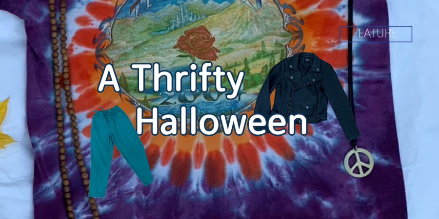 6 DIY Halloween Costume Ideas You Can Thrift!