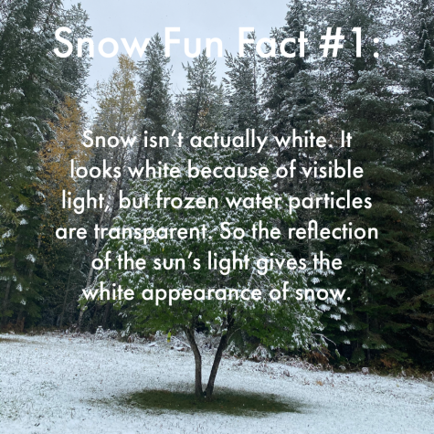 Snow Fun Facts